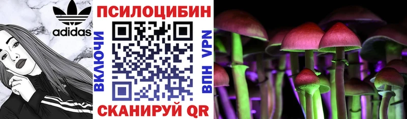 Псилоцибиновые грибы Psilocybe  купить наркоту  Пыталово 